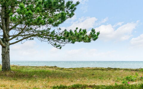 Djuna - 200M from the Sea: Himmel, Blå, Daytime, Grøn, Vegetationen, Sommer, Horisont, Økoregion, Sky, Hav
