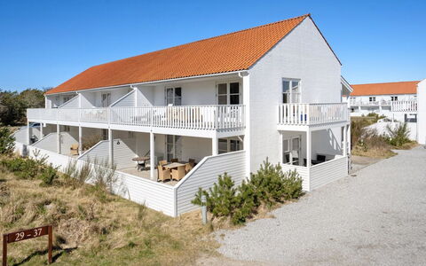 Shana - 800M from the Sea: Plantesamfund, Sollys, Urteagtig Plante, Have, Plantation, Landbrug, Farm