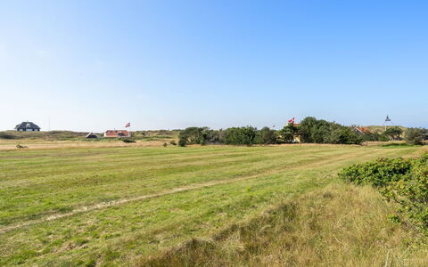 Jantje - 500M from the Sea: Himmel, Blå, Grøn, Græs, Naturligt Miljø, Græs-, Almindeligt, Mark, Økoregion, Sommer