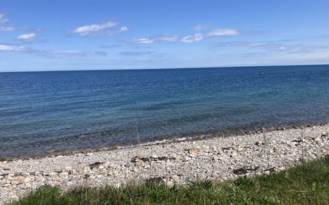 Malte - 75M from the Sea: Plantesamfund, Sollys, Urteagtig Plante, Have, Plantation, Landbrug, Farm