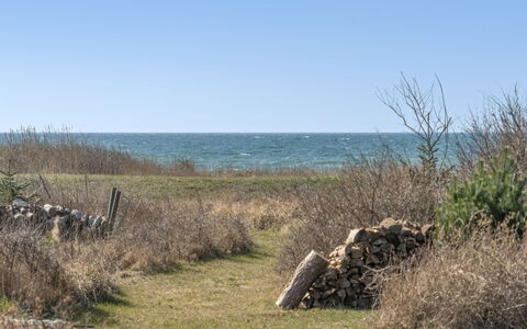 Malte - 75M from the Sea: Græs, Busk, Hus, Have, Hjem, Sommerhus, Land Lot, Lawn, Bunddække