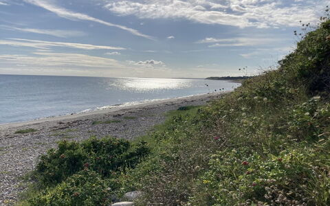 Malte - 75M from the Sea: Græs, Busk, Hus, Have, Hjem, Sommerhus, Land Lot, Lawn, Bunddække
