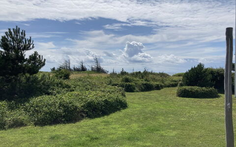 Malte - 75M from the Sea: Græs, Busk, Hus, Have, Hjem, Sommerhus, Land Lot, Lawn, Bunddække