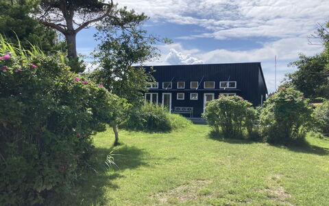 Malte - 75M from the Sea: Græs, Busk, Hus, Have, Hjem, Sommerhus, Land Lot, Lawn, Bunddække