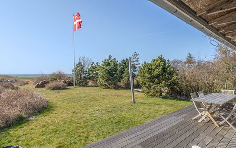 Malte - 75M from the Sea: Plantesamfund, Sollys, Urteagtig Plante, Have, Plantation, Landbrug, Farm