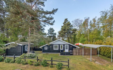 Eweline - 75M from the Sea: Tag, Hjem, Dør, Sommerhus, Skygge, Sidespor, Gård, Estate, Backyard