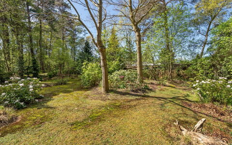 Eweline - 75M from the Sea: Tag, Hjem, Dør, Sommerhus, Skygge, Sidespor, Gård, Estate, Backyard
