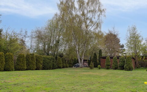 Undis - 660M from the Sea: Busk, Have, Vedplante, Lawn, Landscaping, Gård, Evergreen, Parkere