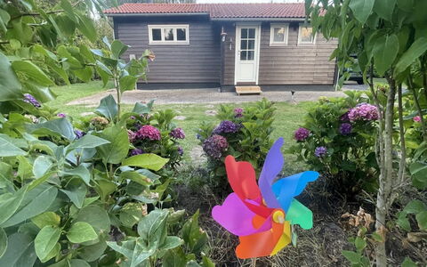 Undis - 660M from the Sea: Blomst, Busk, Kronblad, Have, Forår, Lawn, Backyard, Gård, Landscaping, Wildflower