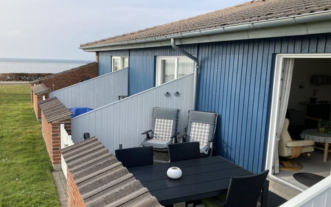 Elevus - 10M from the Sea: Plantesamfund, Sollys, Urteagtig Plante, Have, Plantation, Landbrug, Farm