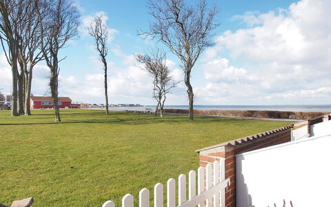 Elevus - 10M from the Sea: Hegn, Lawn, Home Fencing, Stakit
