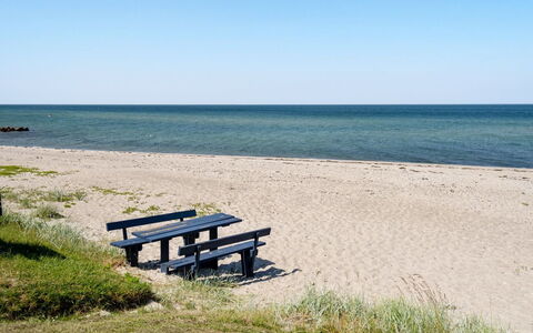 Diertje - 10M from the Sea: Blå, Busk, Sommerhus, Bunddække, Have, Estate, Skygge, Landscaping, Stuehus, Eco Hotel