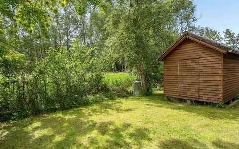 Rəzvan - 120M from the Sea: Græs, Græs-, Landskab, Økoregion, Almindeligt, Plantesamfund, Land Lot, Udendørs Møbler, Prærie, Shrubland