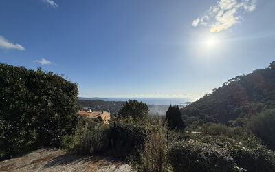 Domaine des Collieres