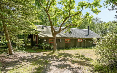Osa - 150M from the Sea: Træ, Blad, Træ, Hus, Sommerhus, Busk, Tag, Hjem, Landdistrikt