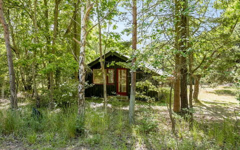 Osa - 150M from the Sea: Træ, Naturligt Miljø, Natur, Blad, Træ, Afdeling, Vegetationen, Sommerhus, Skov, Woodland