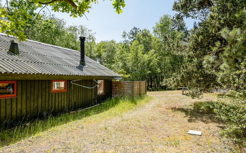 Osa - 150M from the Sea: Træ, Græs, Naturligt Miljø, Natur, Blad, Træ, Afdeling, Landskab, Landdistrikt