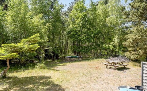 Osa - 150M from the Sea: Busk, Plantesamfund, Forår, Woodland, Skygge, Have, Parkere, Udendørs Møbler, Udendørs Bord, Picnic Bord