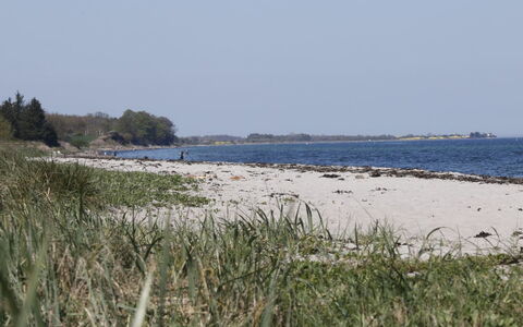 Bridgette - 100M from the Sea: Vand, Strand, Kyst, Coastal Og Oceaniske Landskabsformer, Kyst, Hav, Horisont, Sand, Ocean