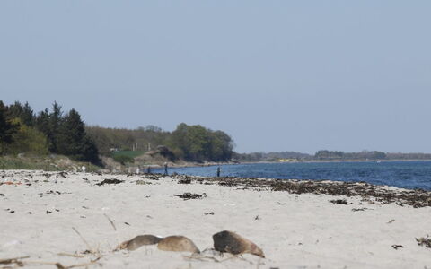 Bridgette - 100M from the Sea: Himmel, Blå, Strand, Naturligt Miljø, Kyst, Kyst, Horisont, Coastal Og Oceaniske Landskabsformer, Hav