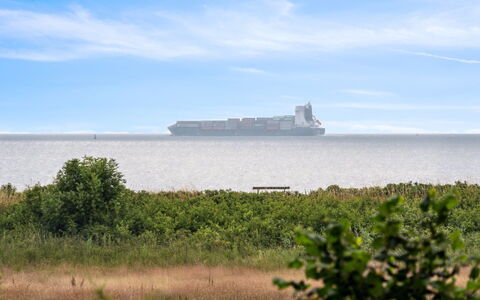 Bridgette - 100M from the Sea: Plantesamfund, Sollys, Urteagtig Plante, Have, Plantation, Landbrug, Farm