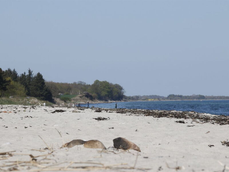 Bridgette - 100M from the Sea