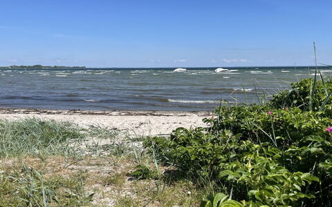 Ely - 300M from the Sea: Blå, Vand, Krop Af Vand, Vandressourcer, Naturligt Miljø, Kyst, Coastal Og Oceaniske Landskabsformer, Sommer, Hav