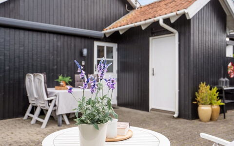 Ajvi - 50M from the Sea: Plantesamfund, Sollys, Urteagtig Plante, Have, Plantation, Landbrug, Farm