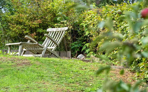 Bjerund - 250M from the Sea: Blå, Busk, Sommerhus, Bunddække, Have, Estate, Skygge, Landscaping, Stuehus, Eco Hotel