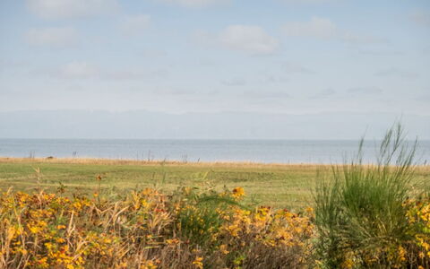 Duschanka - 50M to the Fjord: Plantesamfund, Sollys, Urteagtig Plante, Have, Plantation, Landbrug, Farm