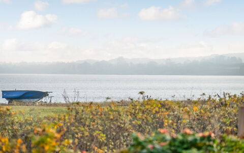 Duschanka - 50M to the Fjord: Plantesamfund, Sollys, Urteagtig Plante, Have, Plantation, Landbrug, Farm