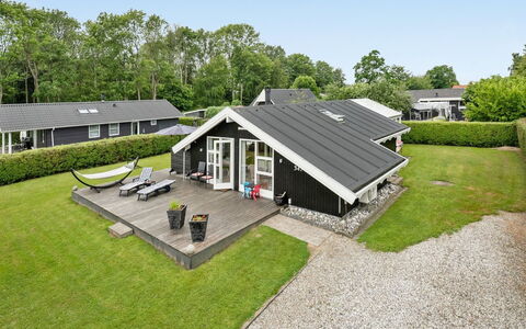 Ullakarin - 350M from the Sea: Plantesamfund, Sollys, Urteagtig Plante, Have, Plantation, Landbrug, Farm