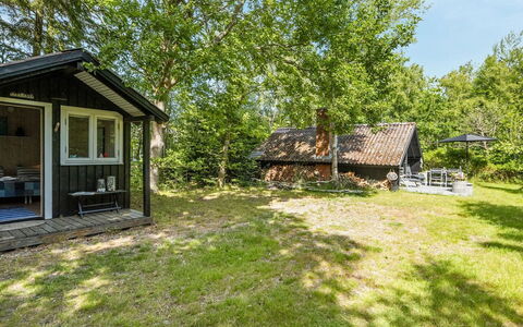 Alika - 200M to the Fjord: Tag, Skur, Sommerhus, Garden Bygninger, Sidespor, Hårdttræ