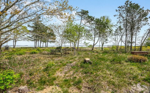 Angelita - 80M to the Fjord: Hjem, Boligområde, Hus, Sommerhus, Tag, Land Lot, Sidespor, Have, Estate, Lawn