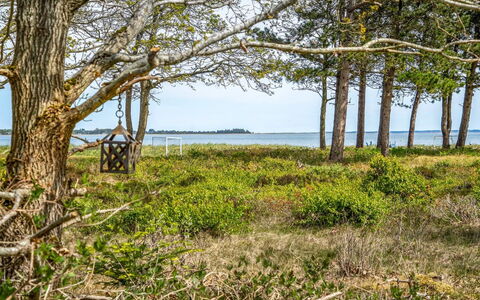 Angelita - 80M to the Fjord: Hjem, Boligområde, Hus, Sommerhus, Tag, Land Lot, Sidespor, Have, Estate, Lawn