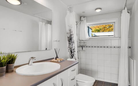 Dunja - 200M to the Fjord: Sanitærarmatur, Indretning, Håndvask, Gulvbelægning, Badeværelse, Etage, Badeværelsesvask, Tap, Countertop, Vvs