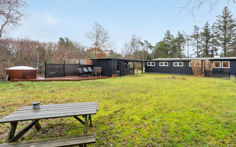 Akke - 150M to the Fjord: Plantesamfund, Sollys, Urteagtig Plante, Have, Plantation, Landbrug, Farm