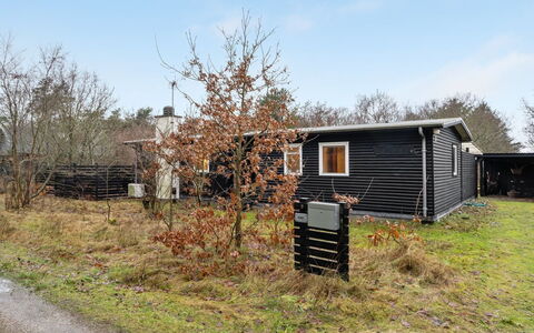 Akke - 150M to the Fjord: Plantesamfund, Sollys, Urteagtig Plante, Have, Plantation, Landbrug, Farm
