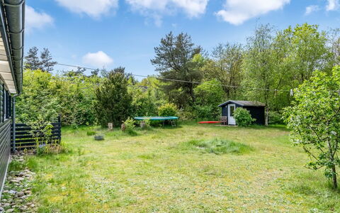 Akke - 150M to the Fjord: Plantesamfund, Sollys, Urteagtig Plante, Have, Plantation, Landbrug, Farm