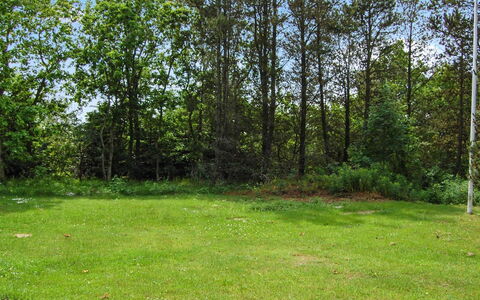 Annlouise - 300M from the Sea: Blad, Græs, Træ, Grøn, Naturligt Miljø, Græs-, Busk, Land Lot, Bagagerum