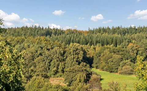 Merja - 3Km from the Sea: 
