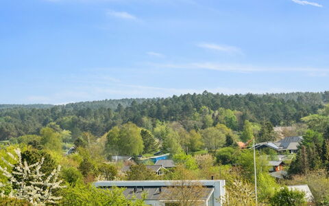 Talika - 700M from the Sea: 