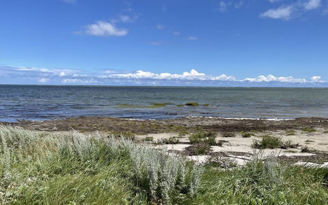 Desche - 300M from the Sea: Svømmepøl, Udendørs Møbler, Møbel, Udvej, Flise, Eco Hotel, Skygge, Stol, Fritid, Estate