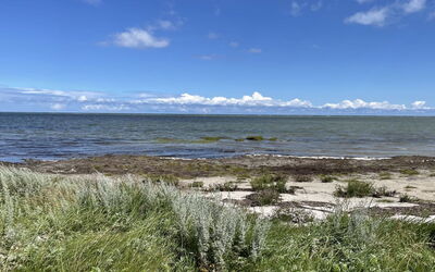 Desche - 300M from the Sea
