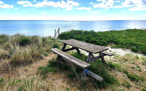 Thorin - 100M from the Sea: Møbel, Couch, Indretning, Gulvbelægning, Stue, Etage, Throw Pillow, Værelse, Pude