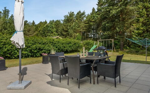 Coco - 200M from the Sea: Plantesamfund, Sollys, Urteagtig Plante, Have, Plantation, Landbrug, Farm