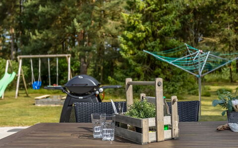 Coco - 200M from the Sea: Plantesamfund, Sollys, Urteagtig Plante, Have, Plantation, Landbrug, Farm