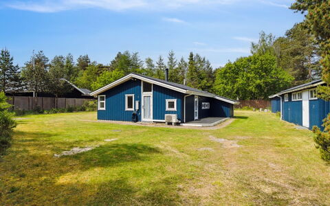 Aleia - 1.6Km from the Sea: Plantesamfund, Sollys, Urteagtig Plante, Have, Plantation, Landbrug, Farm