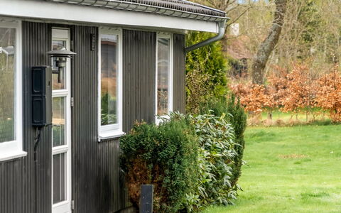 Clarabelle - 700M from the Sea: Græs, Græs-, Landskab, Økoregion, Almindeligt, Plantesamfund, Land Lot, Udendørs Møbler, Prærie, Shrubland