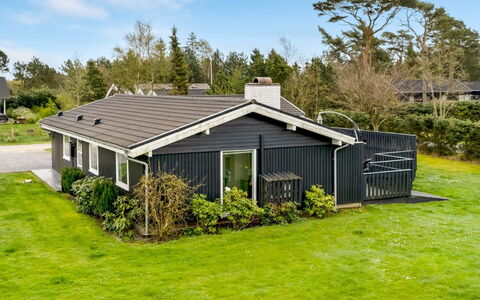 Clarabelle - 700M from the Sea: Græs, Græs-, Landskab, Økoregion, Almindeligt, Plantesamfund, Land Lot, Udendørs Møbler, Prærie, Shrubland